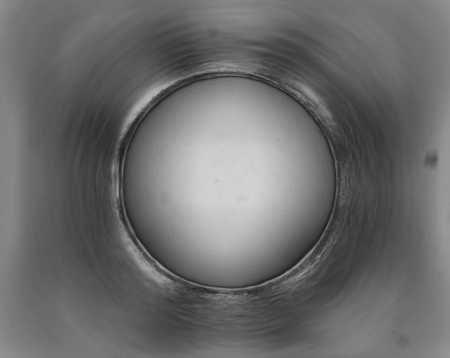 X0000090910796200707301433