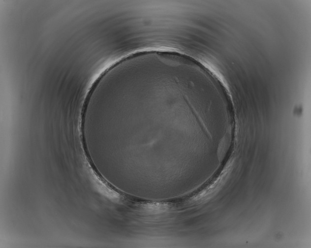 X0000090910797200707301433