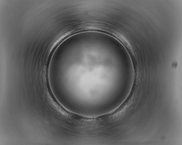 X0000090910798200707301433