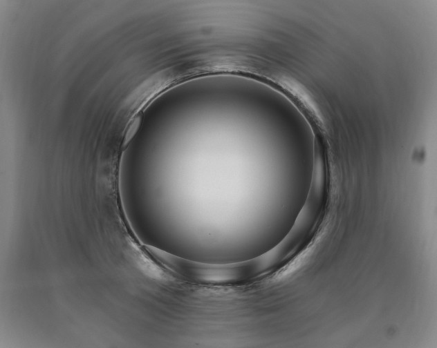 X0000090910801200707301433