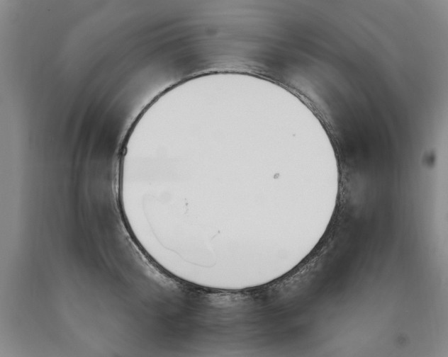 X0000090910804200707301433