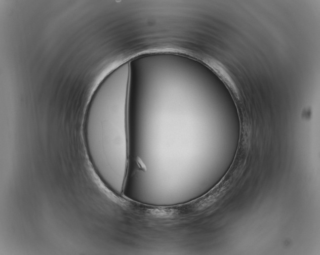 X0000090910805200707301433