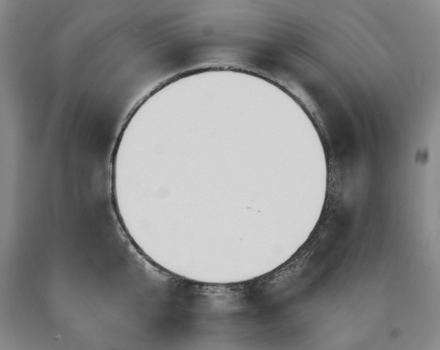 X0000090910807200707301433