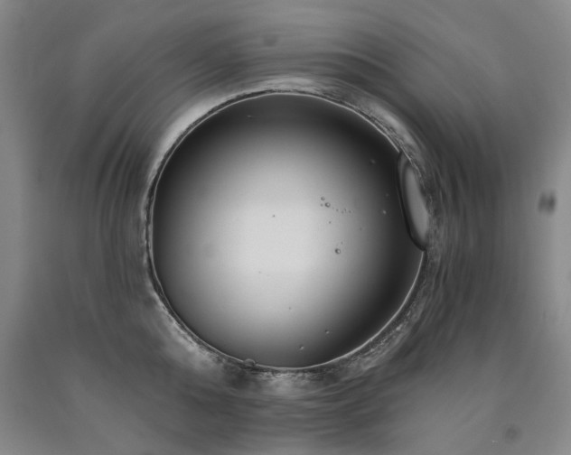 X0000090910808200707301433