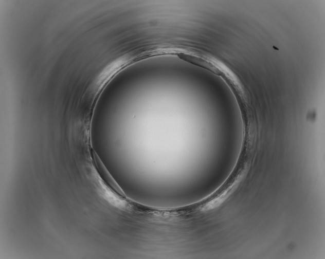 X0000090910809200707301433