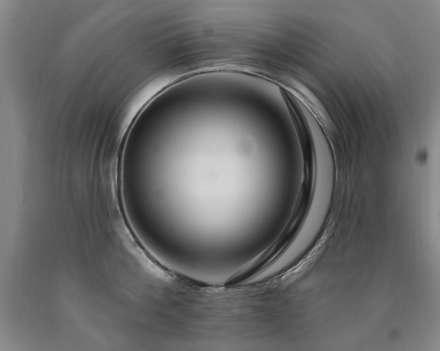 X0000090910812200707301433