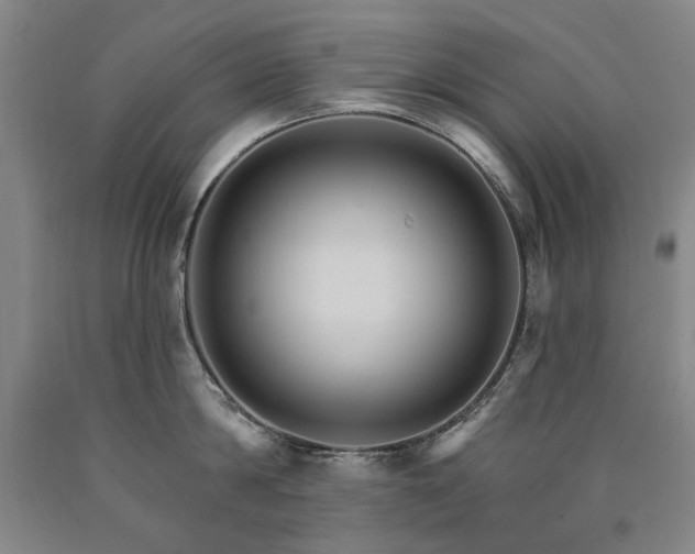 X0000090910814200707301433