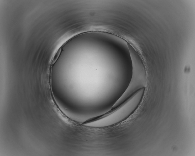 X0000090910816200707301433