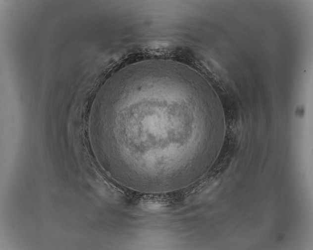 X0000090910817200707301432