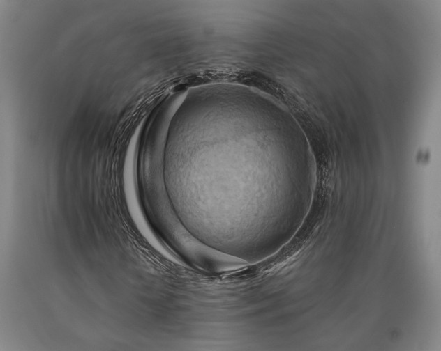 X0000090910818200707301432