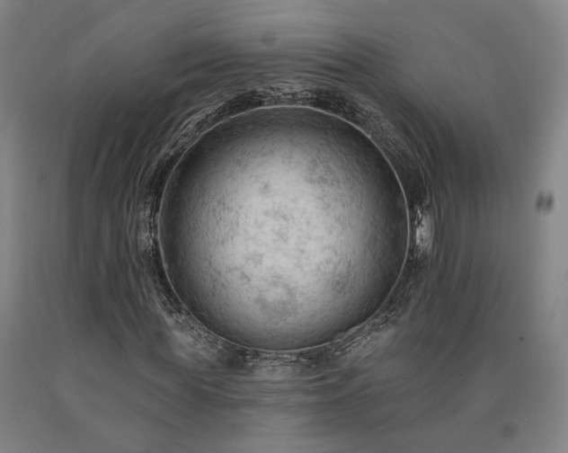 X0000090910819200707301432