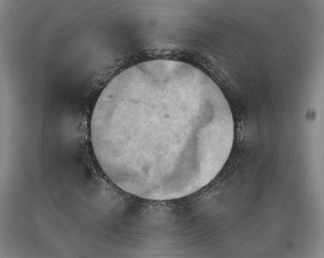 X0000090910820200707301432