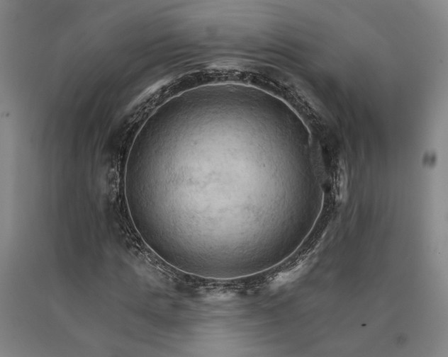 X0000090910821200707301432