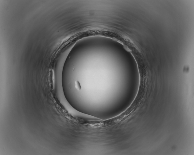 X0000090910822200707301432