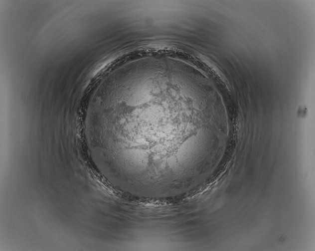 X0000090910823200707301432