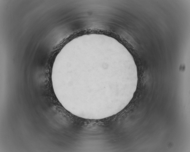 X0000090910824200707301432