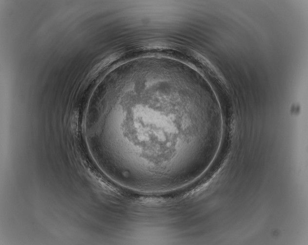 X0000090910825200707301432