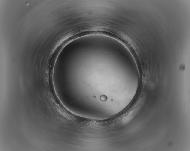 X0000090910827200707301432