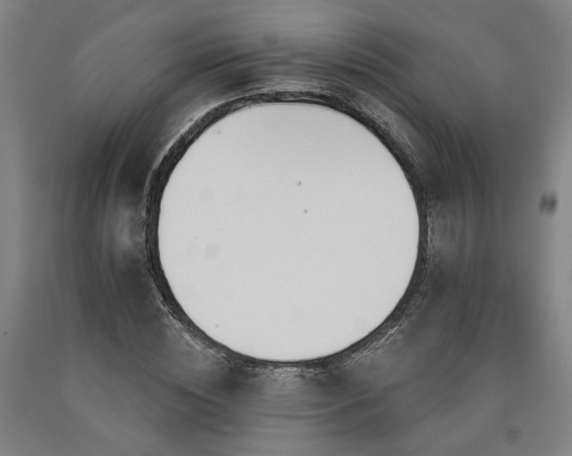 X0000090910828200707301432