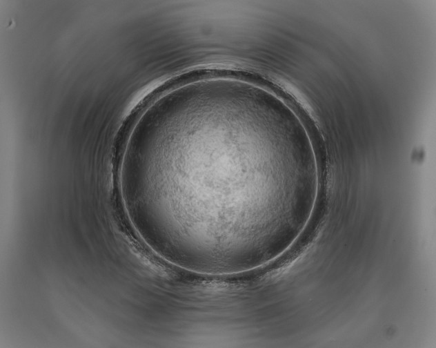 X0000090910829200707301432