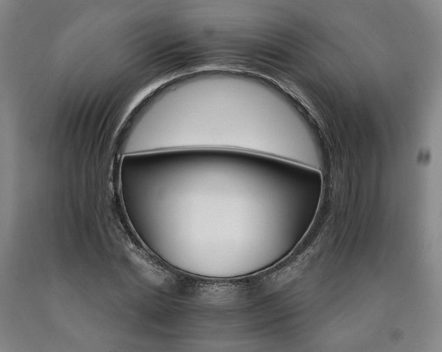 X0000090910830200707301432