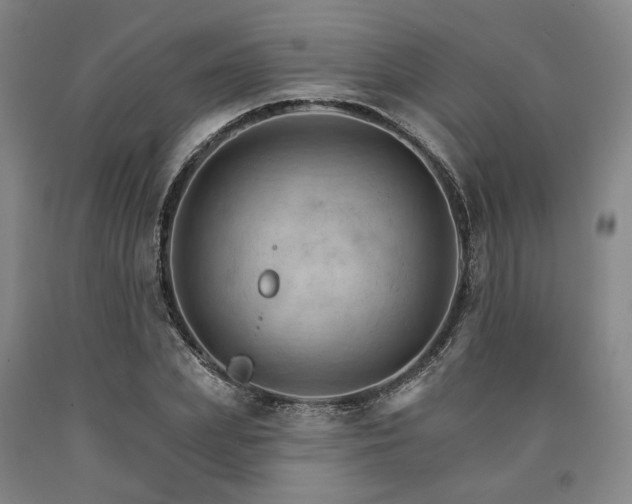 X0000090910831200707301432