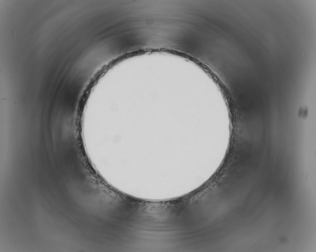 X0000090910832200707301432