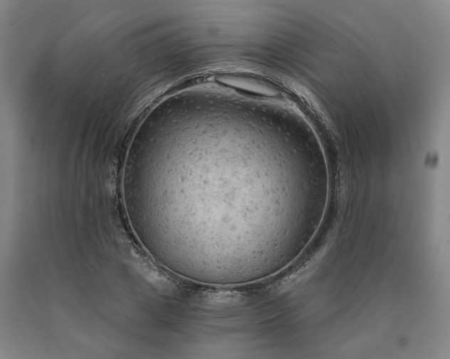 X0000090910833200707301432