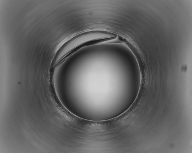 X0000090910834200707301432