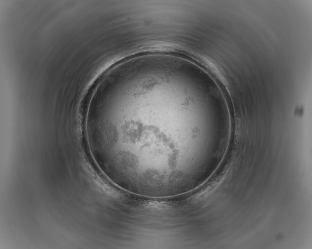 X0000090910835200707301432