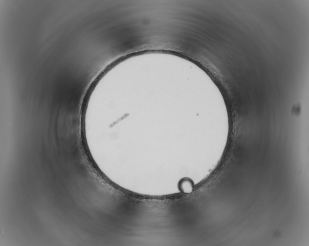 X0000090910836200707301432