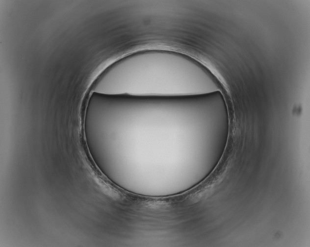 X0000090910837200707301432