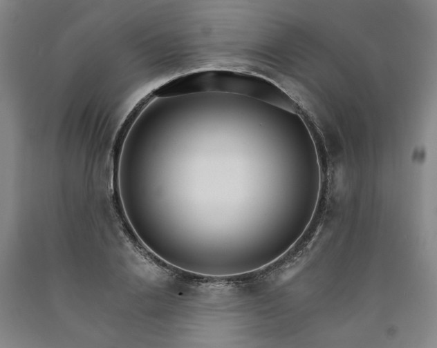 X0000090910838200707301432