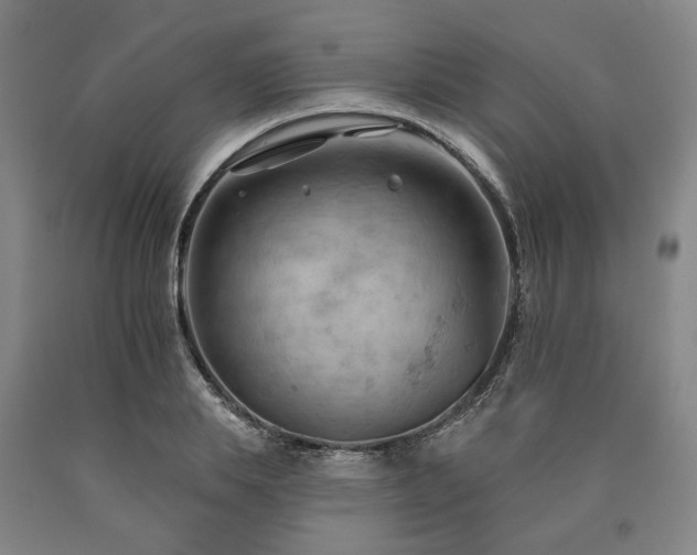 X0000090910839200707301432