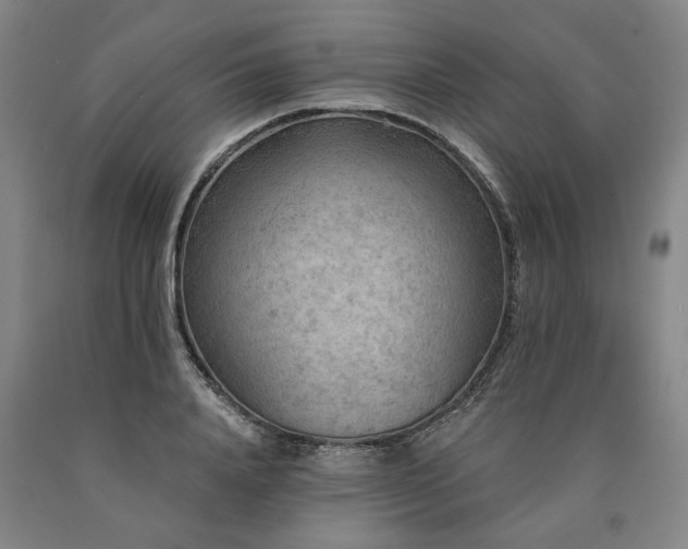 X0000090910840200707301432