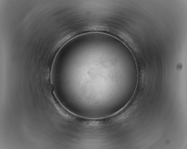 X0000090910841200707301432