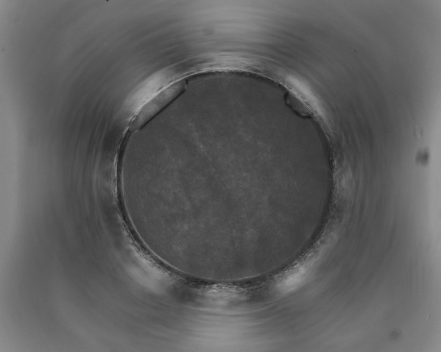 X0000090910842200707301432