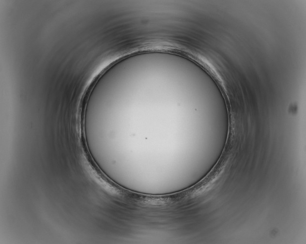 X0000090910843200707301432