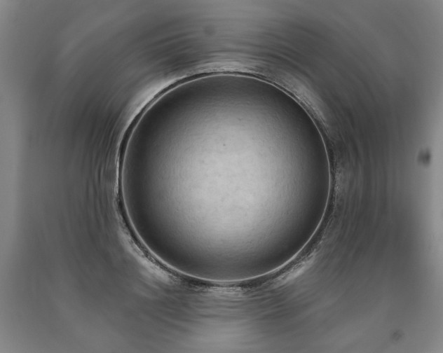 X0000090910844200707301432