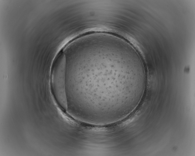 X0000090910845200707301432