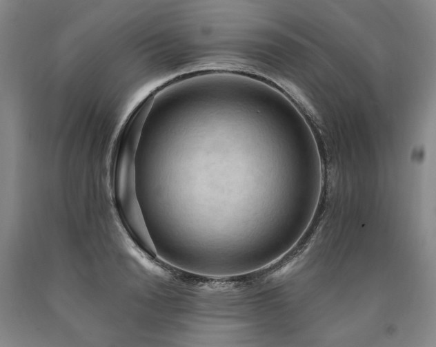 X0000090910846200707301432