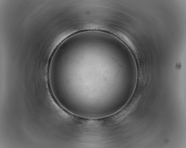 X0000090910847200707301432