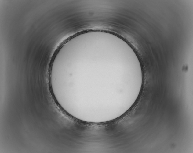 X0000090910848200707301432