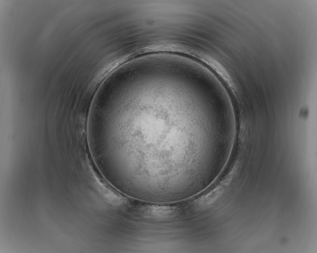 X0000090910849200707301432