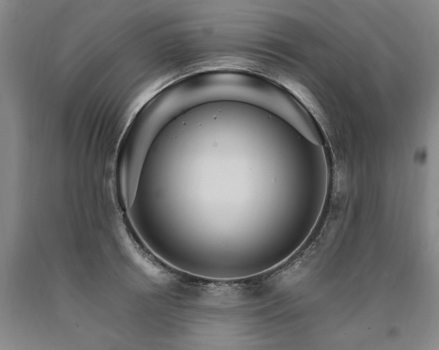 X0000090910850200707301432