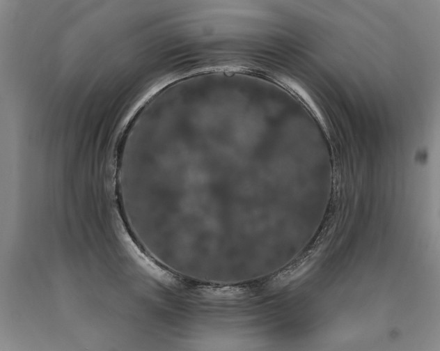 X0000090910851200707301432