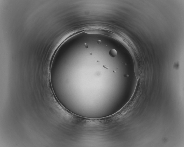 X0000090910852200707301432