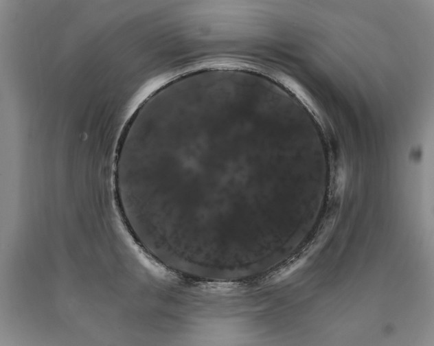 X0000090910853200707301432