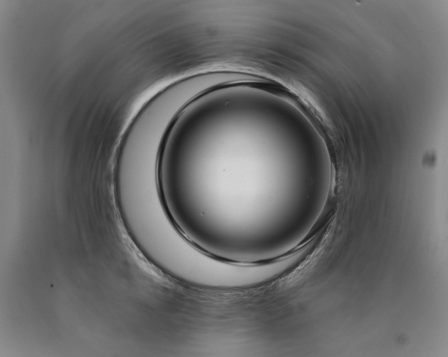 X0000090910854200707301432