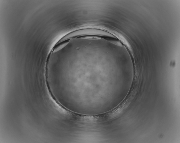 X0000090910855200707301432